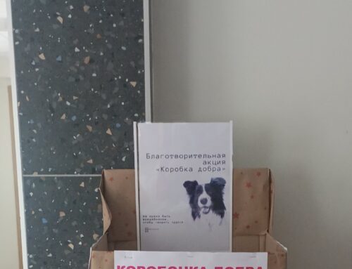 «Коробка добра»
